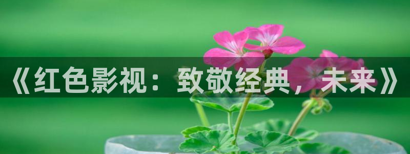 yemalu羞羞影院：《红色影视：致敬经典，未来》