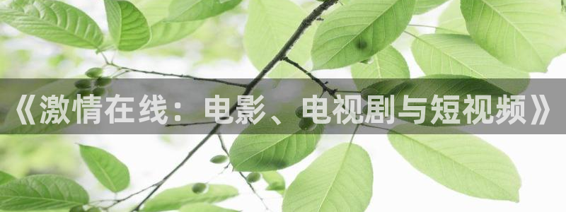 日韩欧美aaaa羞羞影院：《激情在线：电影、电视剧与短视频》