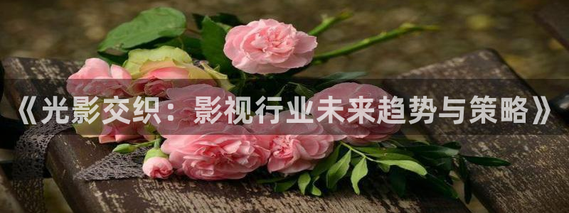 午夜羞羞影院：《光影交织：影视行业未来趋势与策略》