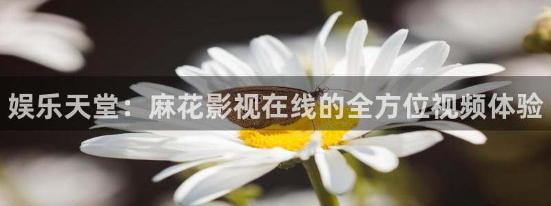 羞羞影院羞羞免费：娱乐天堂：麻花影视在线的全方位视频体验