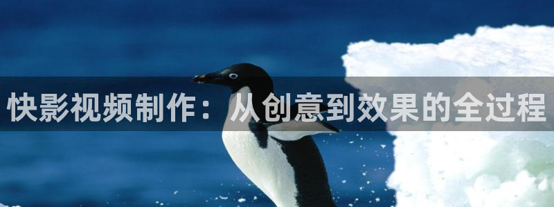 动漫羞羞影院：快影视频制作：从创意到效果的全过程