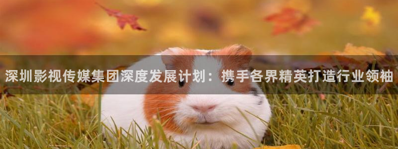 亚洲羞羞影院：深圳影视传媒集团深度发展计划：携手各界精英打造行业领袖