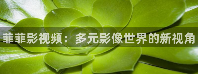 羞羞影院免费观看午夜